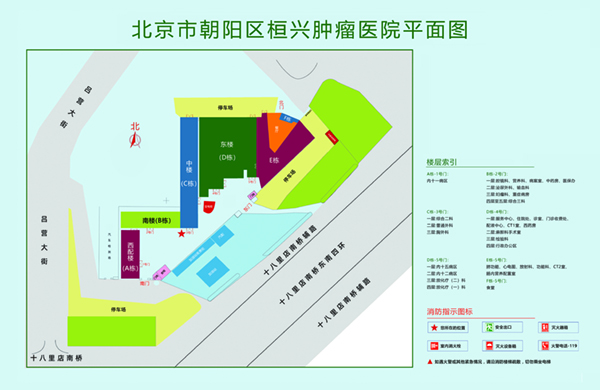 正在播放骚逼北京市朝阳区桓兴肿瘤医院平面图